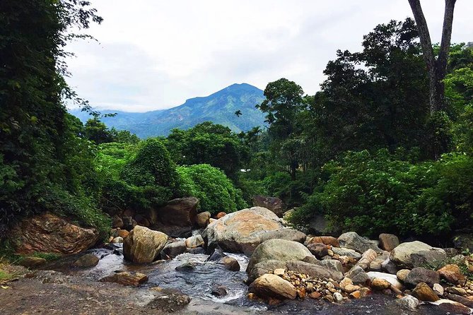 Meditation & Music Therapy at Polgahaamuna Waterfall - Whats Included