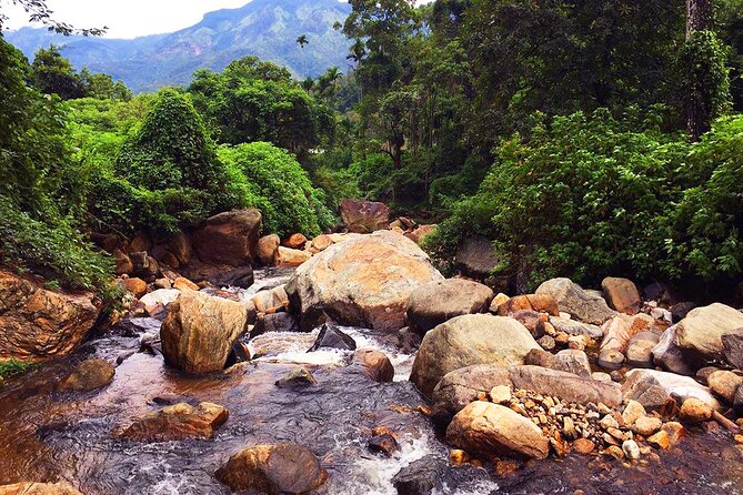 Meditation & Music Therapy at Polgahaamuna Waterfall - Meeting and Pickup