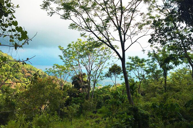 Meditation & Music Therapy at Polgahaamuna Waterfall - Booking Information