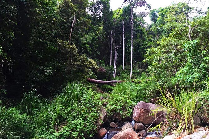 Meditation & Music Therapy at Polgahaamuna Waterfall - Music Therapy and Meditation