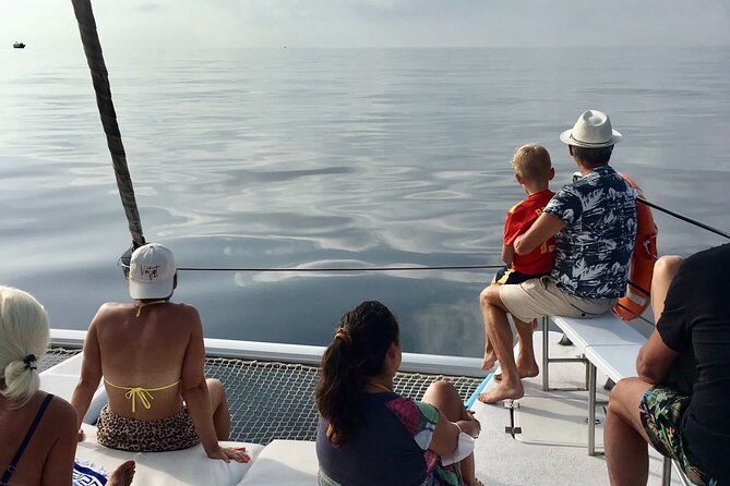 Mediterranean Boat Tour With Paella Lunch and Transport Included! - Inclusions