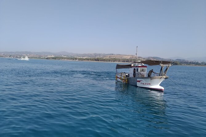 Mediterranean Boat Tour With Paella Lunch and Transport Included! - Paella Lunch Highlights