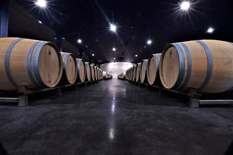 Medoc Afternoon Wine Tour, 2 Wineries, Tastings & Delicacies - Wine and Cheese Tasting