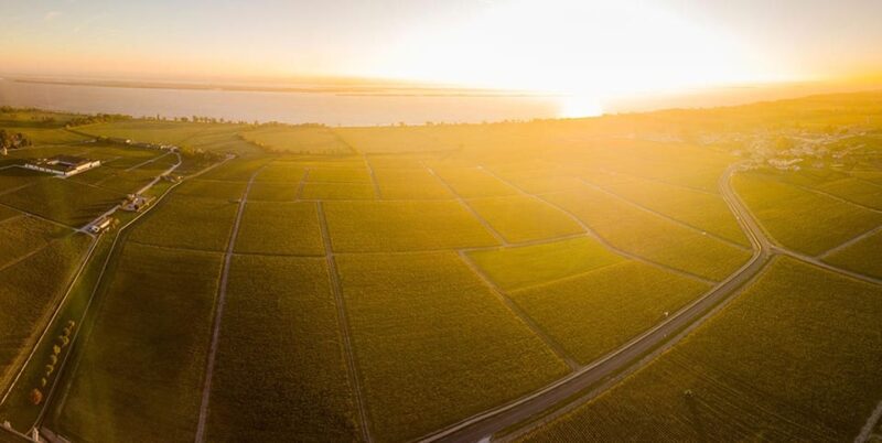 Medoc and Libournais (Left and Right Bank) - Cellar and Vineyard Tours