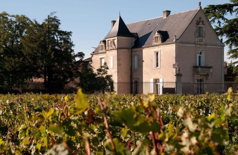 Medoc and Libournais (Left and Right Bank) - Wine Industry Insights