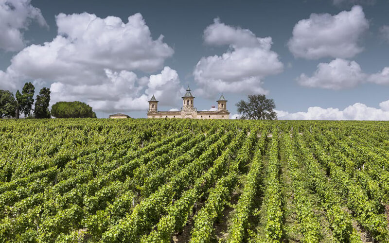 Médoc Morning Wine Tour - Winery & Tastings - Itinerary and Timings