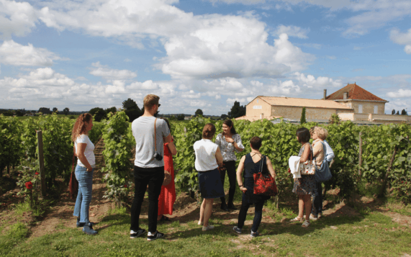 Médoc Morning Wine Tour - Winery & Tastings - Winery Visits and Tastings