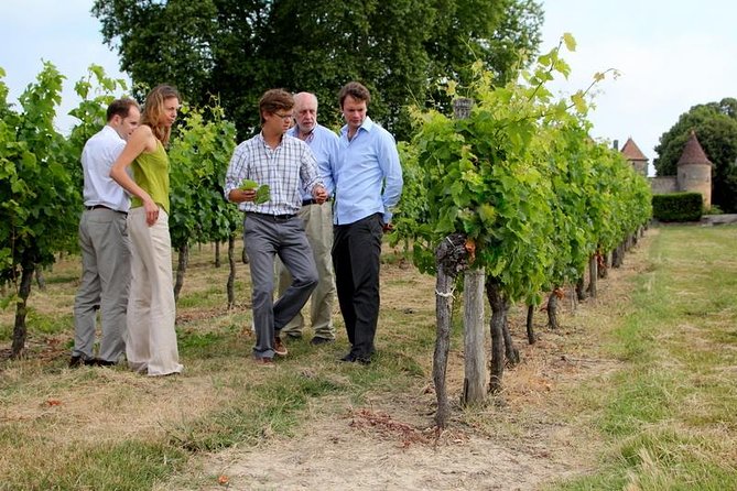 Medoc or Saint Emilion Wine Tasting and Chateau From Bordeaux - Saint-Emilion Wine Tour