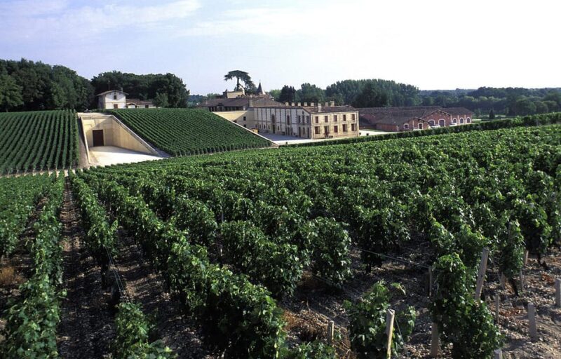 Medoc: Private Wine Tour - Participant Information