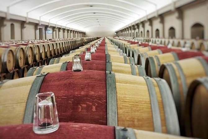 Medoc Region Private Sightseeing & Wine Day Trip With Tasting From Bordeaux - Key Points