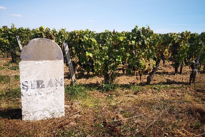 Medoc Region Wine Day Trip With Vineyard Visits & Tastings From Bordeaux - Tour Itinerary