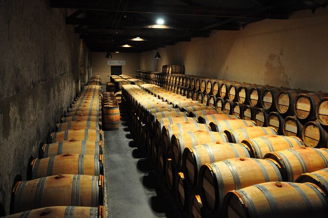 Medoc Region Wine Day Trip With Vineyard Visits & Tastings From Bordeaux - Pauillac Town Exploration