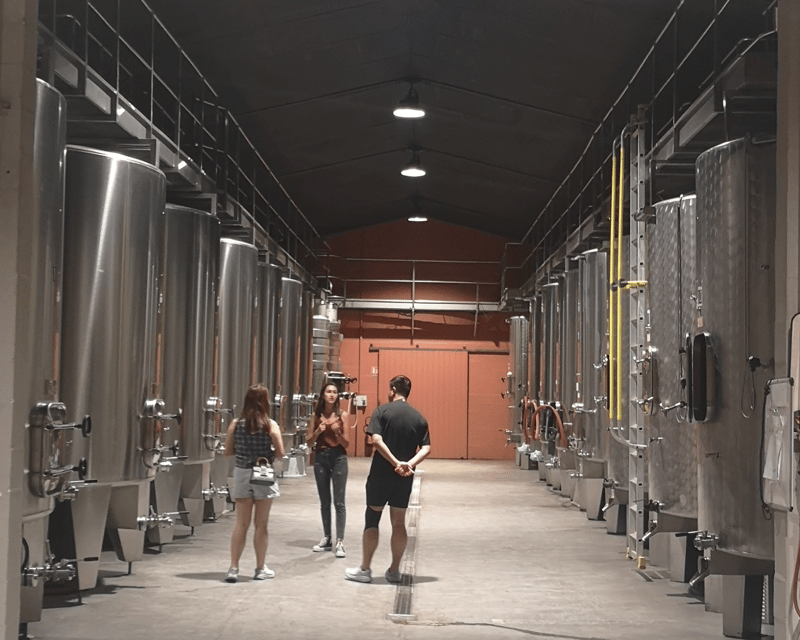 Médoc Wine Tour From Bordeaux: 2 Wineries & 6 Wines - Itinerary and Activities