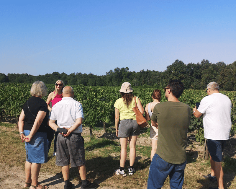 Médoc Wine Tour From Bordeaux: 2 Wineries & 6 Wines - Wineries and Wine Tasting