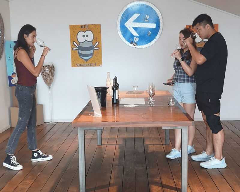 Médoc Wine Tour From Bordeaux: 2 Wineries & 6 Wines - Meeting Point and Transportation
