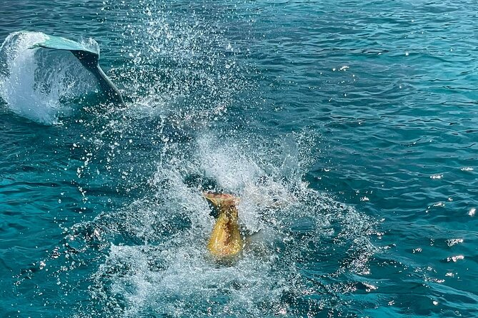 Medusa Cruises The Mermaid Cruise Protaras - Fishing Trips