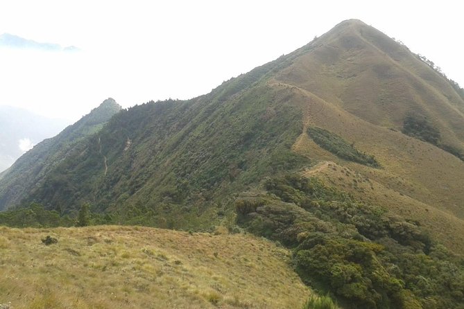 Meesapulimala Sunrise Trek( by Munnar Info) - Meeting and End Points
