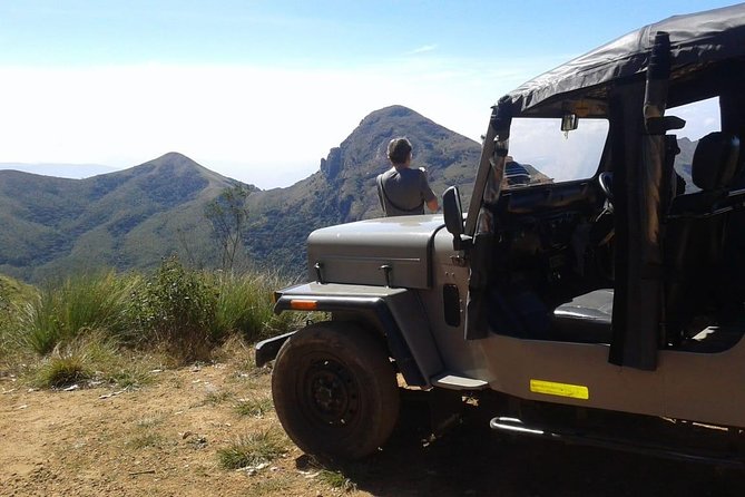 Meesapulimala Sunrise Trek( by Munnar Info) - Wildlife and Biodiversity