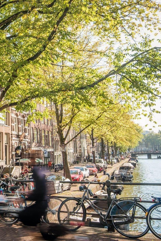 Meet All Popular Attractions in Amsterdam - Accessibility and Requirements