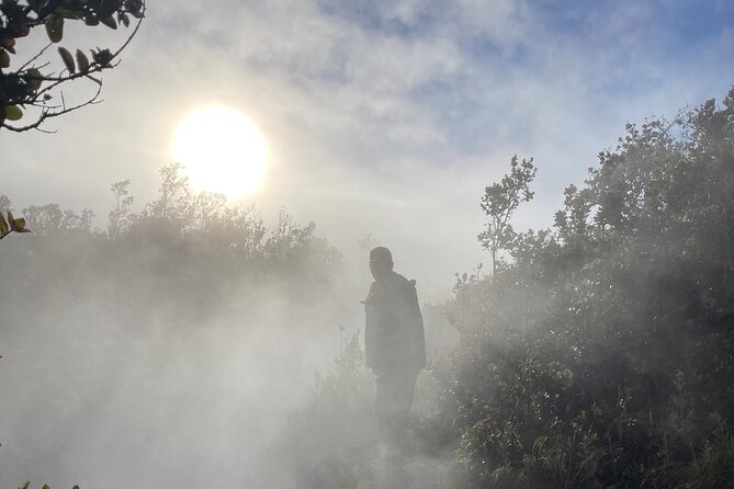 Meet in the Park - Private Hawaii Volcanoes National Park Tour - Traveler Experiences