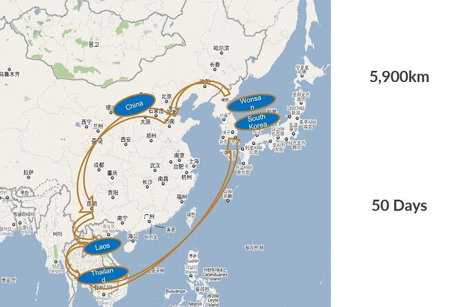 Meet North Korean Defector &Talk After Your DMZ Trip - Dessert