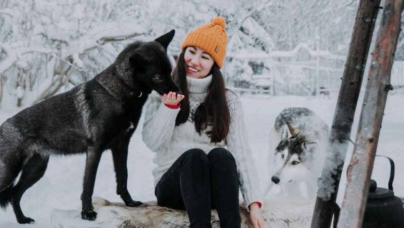 Meet Taivas & the Arctic Wolves - Private Tour - Arctic Wolfland Sanctuary