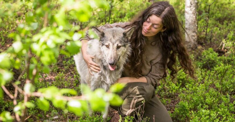 Meet Taivas & the Arctic Wolves - Private Tour - Guided Tour by Owners
