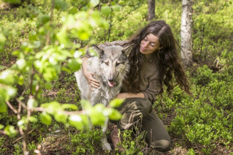 Meet Taivas & the Arctic Wolves - Private Tour - Insight Into Wolf Behavior