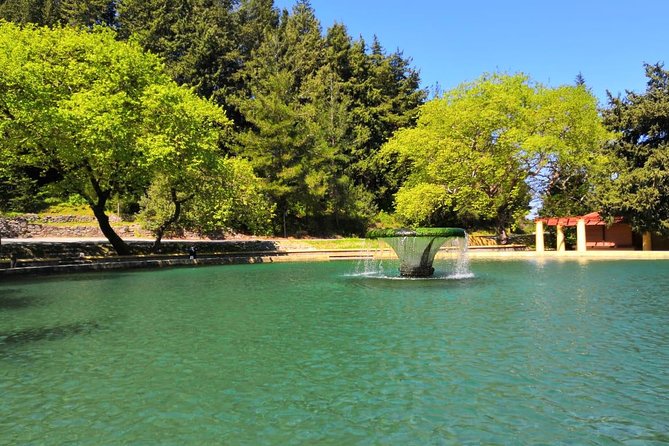Meet the AUTHENTIC Rhodes Tour - PRIVATE Half or Full Day Tour - Inclusions