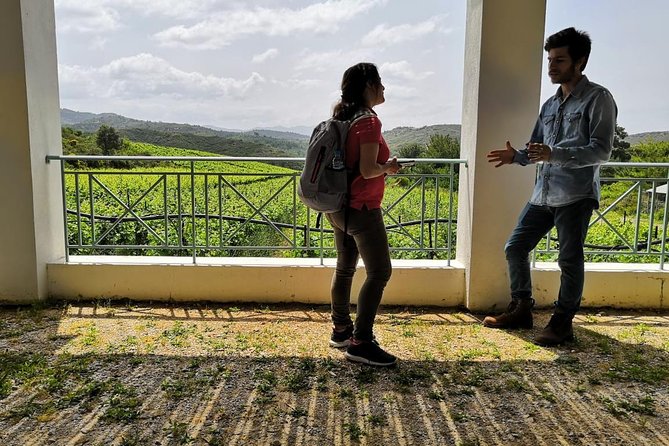 Meet the AUTHENTIC Rhodes Tour - PRIVATE Half or Full Day Tour - Exploring Profitis Ilias