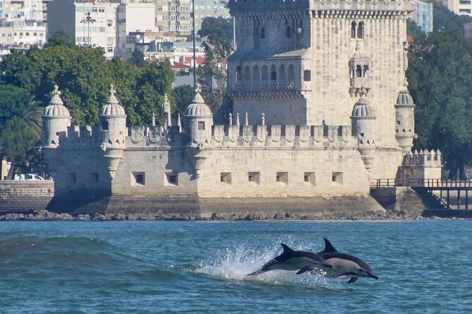 Meet the Lisbon Dolphins - Dolphin Watching in Lisbon - Discovering Coastal Wildlife