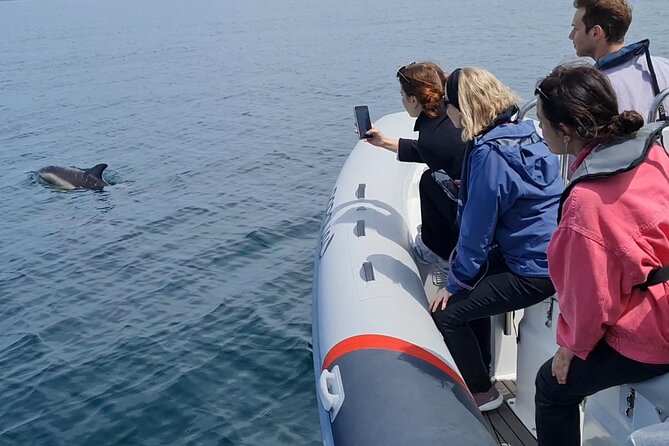 Meet the Lisbon Dolphins - Dolphin Watching in Lisbon - Navigating the Caparica Coast