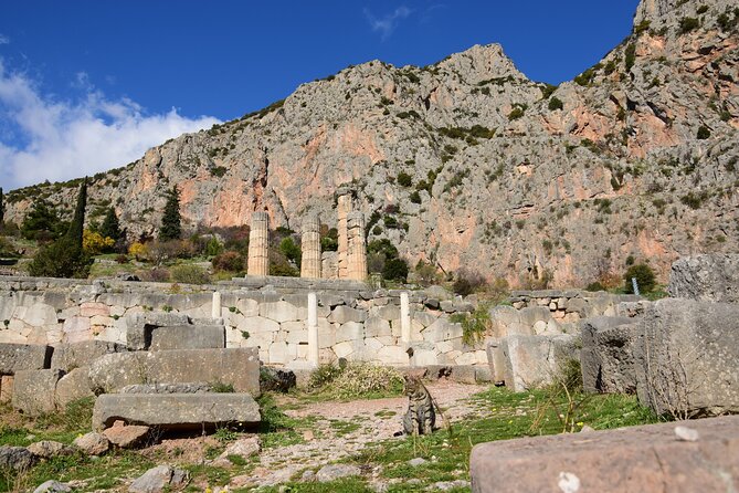 MEET the ORACLE! DELPHI Private Day Tour From Athens/Pireaus - Tour Details