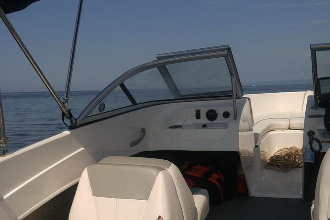 Meet the Seals Boat Tour - Travel by Boat to a Secret Seal Cove - Inclusions