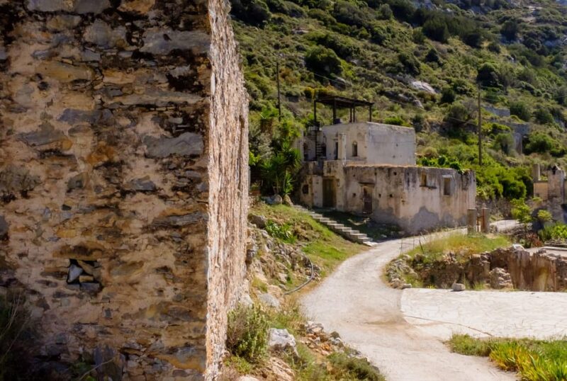 Meet the Trees in Cyclades Hiking (Small Group Experience) - Languages and Pricing