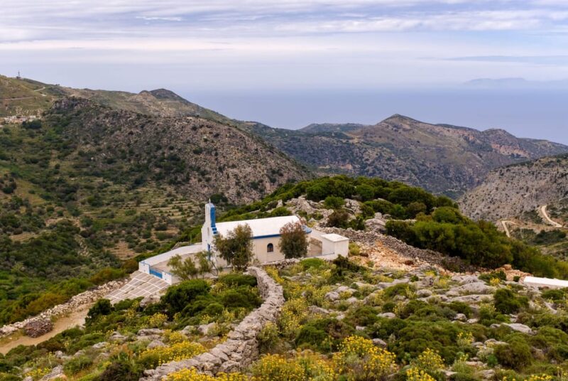 Meet the Trees in Cyclades Hiking (Small Group Experience) - Cancellation and Reservation Policy