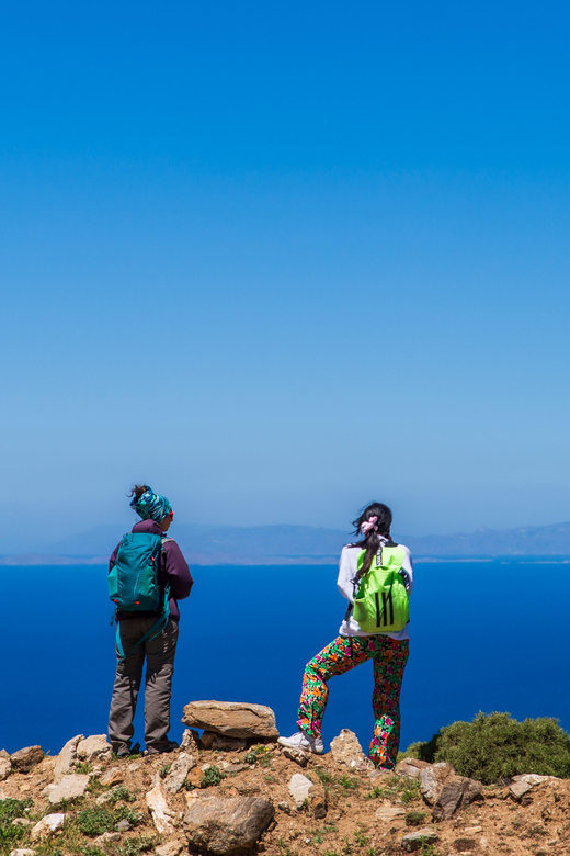Meet the Trees in Cyclades Hiking (Small Group Experience) - Hiking Starting Point and Scenery