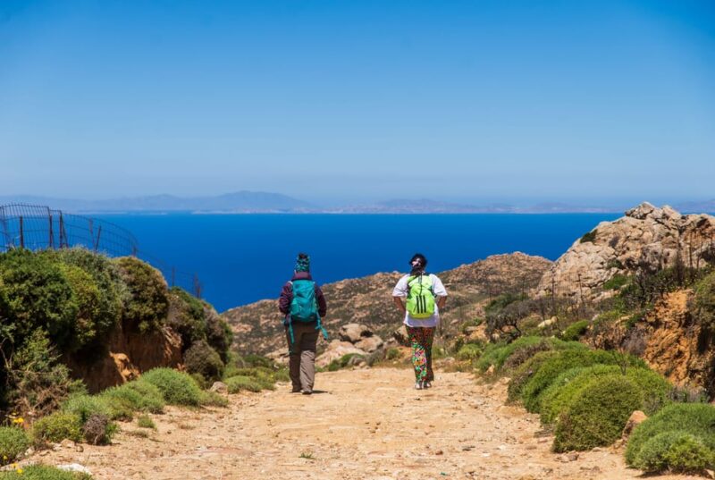 Meet the Trees in Cyclades Hiking Tour (Private Experience) - Inclusions