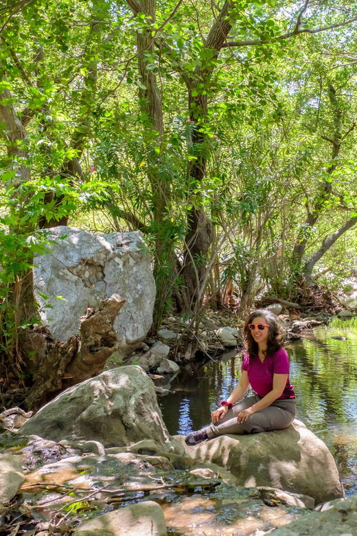 Meet the Trees in Cyclades Hiking Tour (Private Experience) - Experience Details