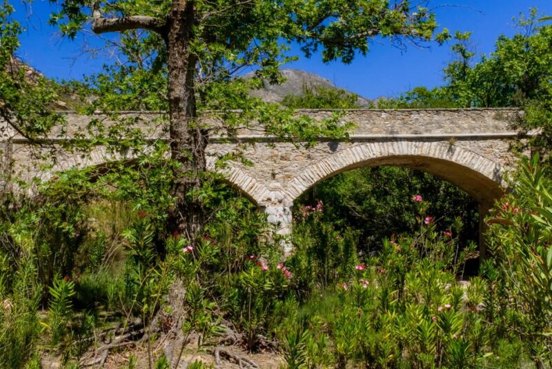 Meet the Trees in Cyclades Hiking Tour (Private Experience) - Booking Information