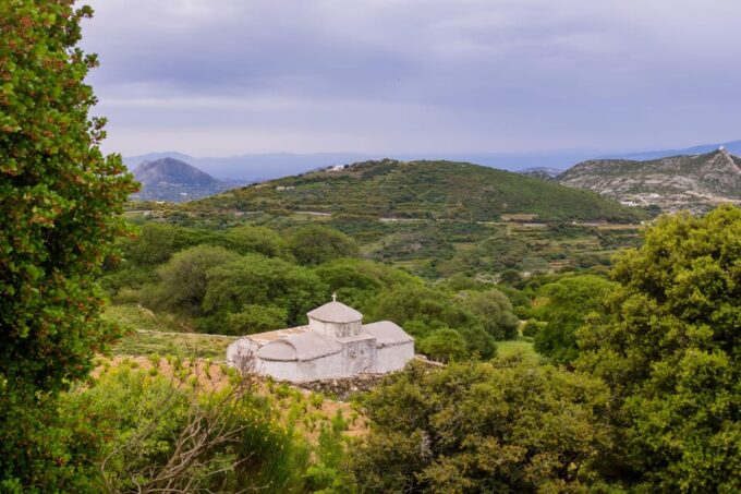 Meet the Trees in Cyclades Hiking Tour (Private Experience) - Unique Arboreal Ecosystem