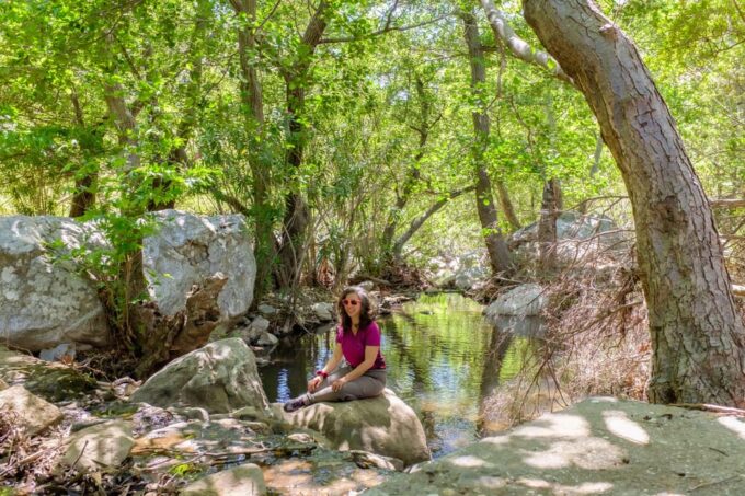 Meet the Trees in Cyclades Hiking Tour (Private Experience) - Guided Nature Connection