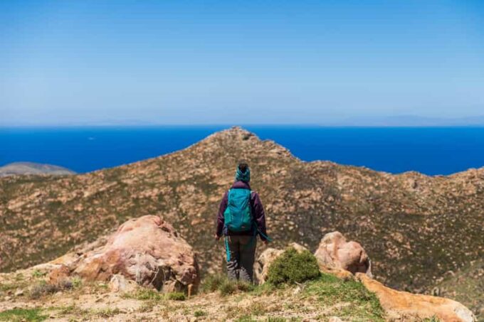 Meet the Trees in Cyclades Hiking Tour (Private Experience) - Local Leaf Herbarium