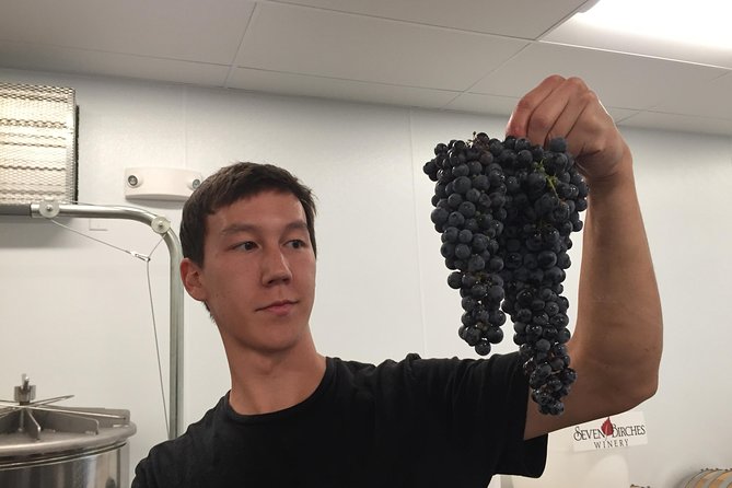 Meet the Winemakers - Seven Birches Winery Tour - Highlights of the Experience