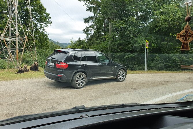 Meet Wild Brown Bears on the Roads to Real Draculas Fortress - Pickup and Itinerary Flexibility