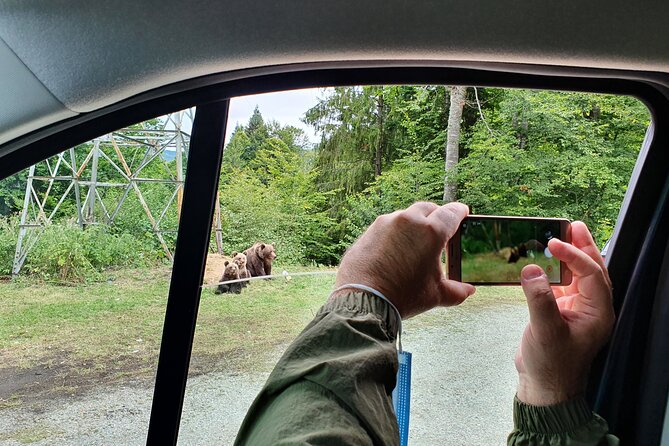 Meet Wild Brown Bears on the Roads to Real Draculas Fortress - Pricing and Cancellation Policy