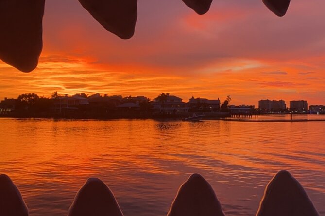 Mega Bite Dolphin Tour Boat in Clearwater Beach - Tour Duration and Capacity
