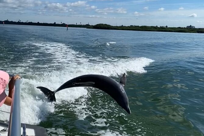 Mega Bite Dolphin Tour Boat in Clearwater Beach - Accessibility and Transportation
