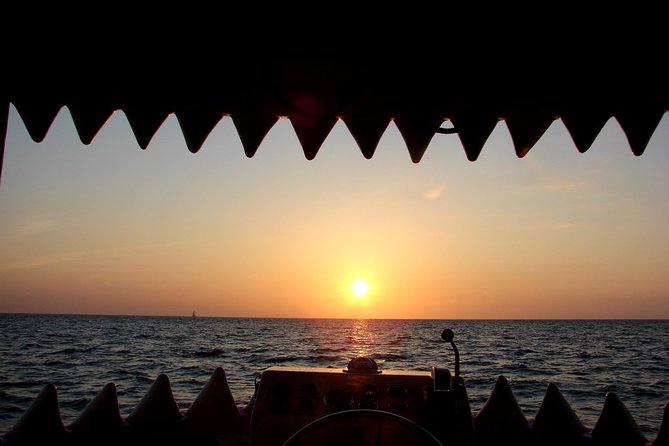 Mega Bite Dolphin Tour Boat in Clearwater Beach - Additional Tour Details