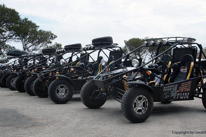 Mega Buggy Tours (Cala Millor, Cala Bona & Sa Coma / No Offroad) - Participant Requirements